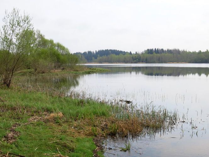 Maakond: Viljandimaa Veekogu nimi: Kariste järv Pildistamise aeg: 13. mai 2013 Pildistaja: H. Timm Pildistamise koht: teadmata Asimuut: