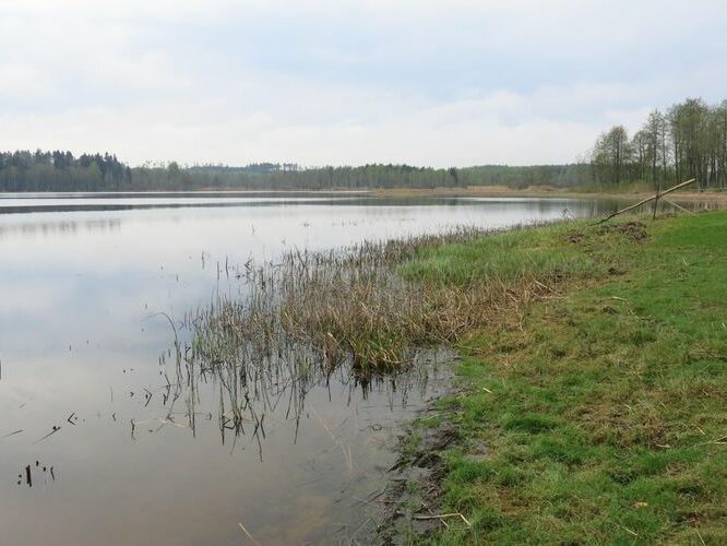 Maakond: Viljandimaa Veekogu nimi: Kariste järv Pildistamise aeg: 13. mai 2013 Pildistaja: H. Timm Pildistamise koht: teadmata Asimuut: