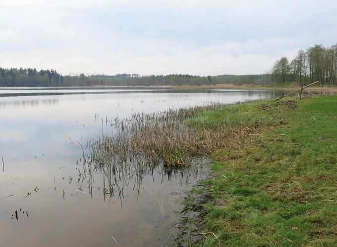 Maakond: Viljandimaa Veekogu nimi: Kariste järv Pildistamise aeg: 13. mai 2013 Pildistaja: H. Timm Pildistamise koht: teadmata Asimuut: