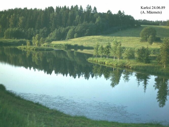 Maakond: Viljandimaa Veekogu nimi: Karksi paisjärv Pildistamise aeg: 24. juuni 1989 Pildistaja: A. Mäemets Pildistamise koht: teadmata Asimuut: