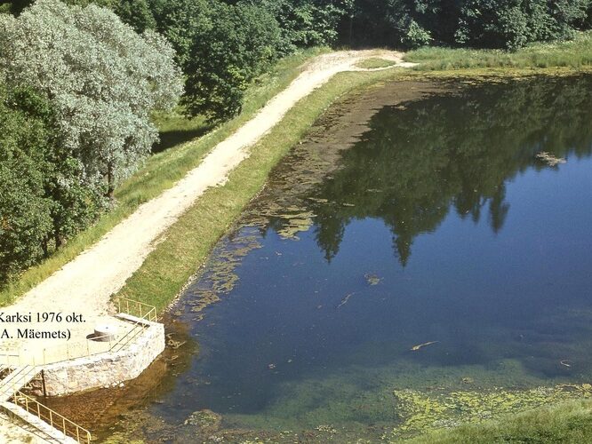 Maakond: Viljandimaa Veekogu nimi: Karksi paisjärv Pildistamise aeg: teadmata Pildistaja: A. Mäemets Pildistamise koht: teadmata Asimuut: