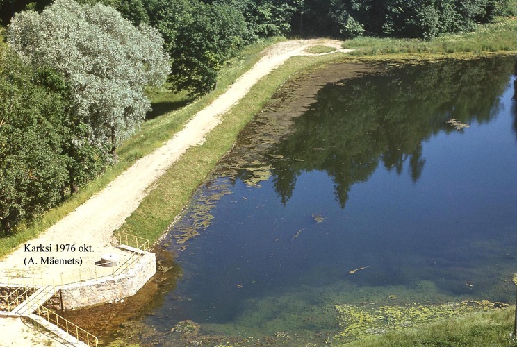 Maakond: Viljandimaa Veekogu nimi: Karksi paisjärv Pildistamise aeg: teadmata Pildistaja: A. Mäemets Pildistamise koht: teadmata Asimuut: