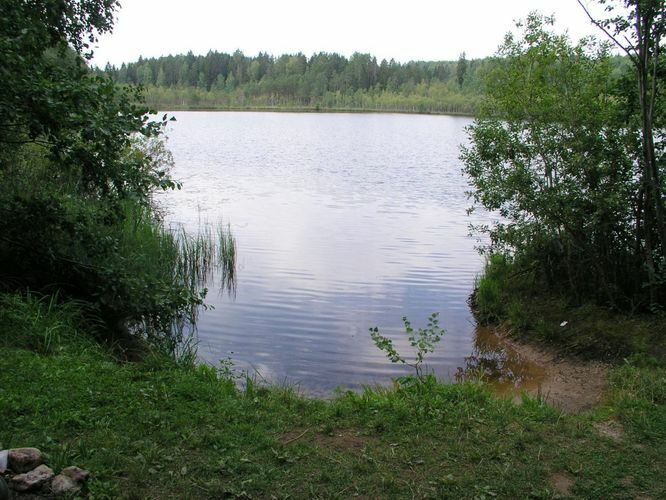 Maakond: Võrumaa Veekogu nimi: Kärnjärv Pildistamise aeg: august 2006 Pildistaja: H. Timm Pildistamise koht: teadmata Asimuut: