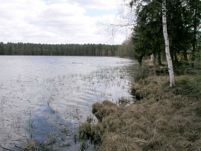 Maakond: Võrumaa Veekogu nimi: Karsna järv Pildistamise aeg: 7. mai 2003 Pildistaja: H. Timm Pildistamise koht: teadmata Asimuut: