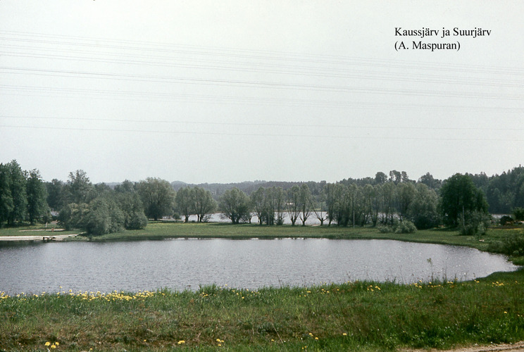 Maakond: Võrumaa Veekogu nimi: Kaussjärv Pildistamise aeg: teadmata Pildistaja: A. Maspuran Pildistamise koht: N kaldalt Asimuut: S