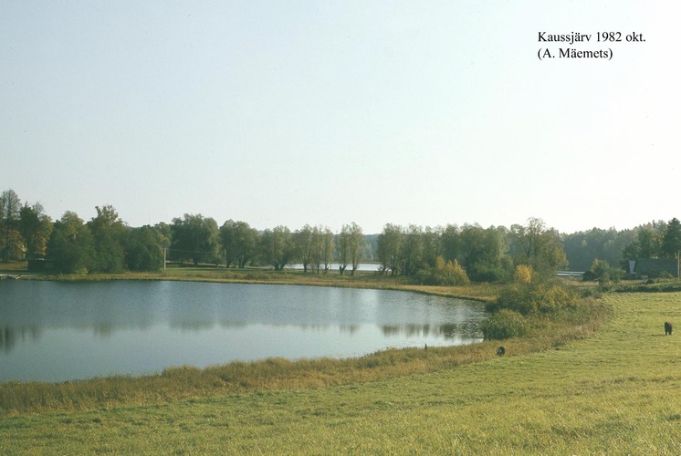 Maakond: Võrumaa Veekogu nimi: Kaussjärv Pildistamise aeg: oktoober 1982 Pildistaja: A. Mäemets Pildistamise koht: teadmata Asimuut: