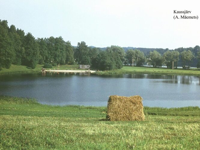 Maakond: Võrumaa Veekogu nimi: Kaussjärv Pildistamise aeg: teadmata Pildistaja: A. Mäemets Pildistamise koht: NW kaldalt Asimuut: SE