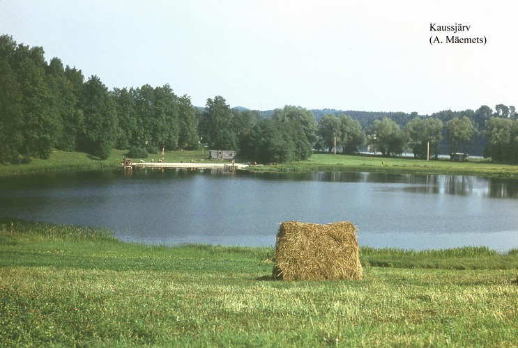 Maakond: Võrumaa Veekogu nimi: Kaussjärv Pildistamise aeg: teadmata Pildistaja: A. Mäemets Pildistamise koht: NW kaldalt Asimuut: SE