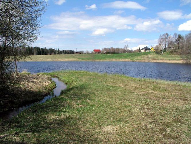 Maakond: Võrumaa Veekogu nimi: Kaussjärv Pildistamise aeg: 9. mai 2005 Pildistaja: H. Timm Pildistamise koht: teadmata Asimuut: