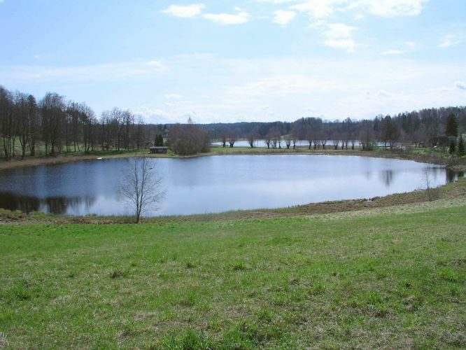 Maakond: Võrumaa Veekogu nimi: Kaussjärv Pildistamise aeg: 9. mai 2005 Pildistaja: H. Timm Pildistamise koht: teadmata Asimuut: