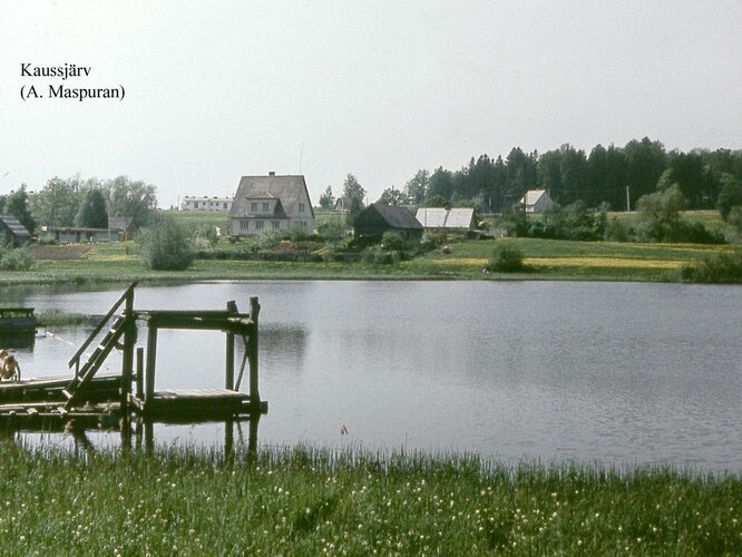 Maakond: Võrumaa Veekogu nimi: Kaussjärv Pildistamise aeg: teadmata Pildistaja: A. Maspuran Pildistamise koht: SSW kaldalt Asimuut: N