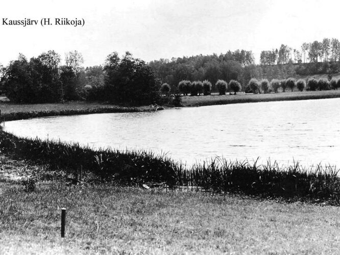 Maakond: Võrumaa Veekogu nimi: Kaussjärv Pildistamise aeg: teadmata Pildistaja: H. Riikoja Pildistamise koht: teadmata Asimuut: