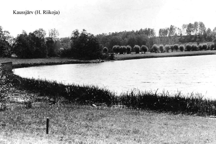 Maakond: Võrumaa Veekogu nimi: Kaussjärv Pildistamise aeg: teadmata Pildistaja: H. Riikoja Pildistamise koht: teadmata Asimuut: