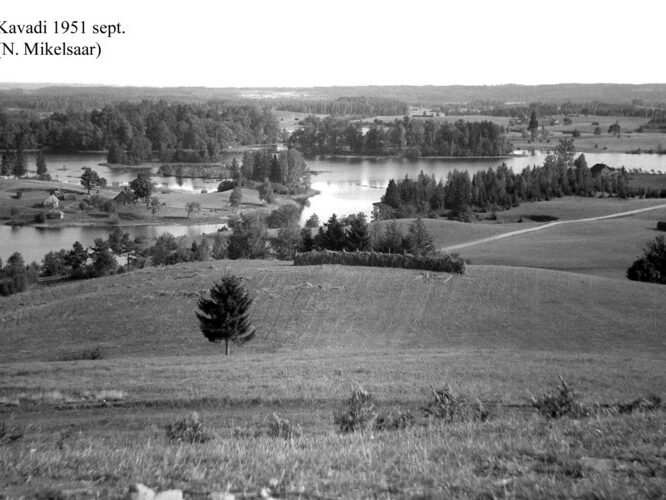 Maakond: Võrumaa Veekogu nimi: Kavadi järv Pildistamise aeg: september 1951 Pildistaja: N. Mikelsaar Pildistamise koht: S kaldalt (H Asimuut: NNE