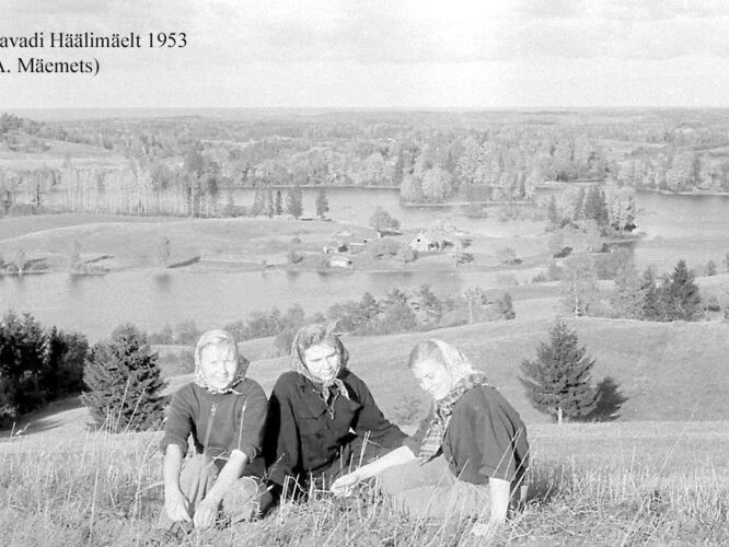 Maakond: Võrumaa Veekogu nimi: Kavadi järv Pildistamise aeg: 1953 Pildistaja: A. Mäemets Pildistamise koht: SW osa S kaldalt (H Asimuut: NNE