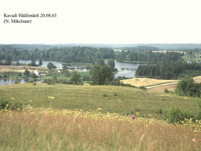 Maakond: Võrumaa Veekogu nimi: Kavadi järv Pildistamise aeg: 20. august 1965 Pildistaja: N. Mikelsaar Pildistamise koht: SW osa S kaldalt (H Asimuut: NE