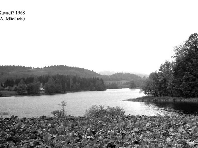 Maakond: Võrumaa Veekogu nimi: Kavadi järv Pildistamise aeg: 1968 Pildistaja: A. Mäemets Pildistamise koht: teadmata Asimuut: