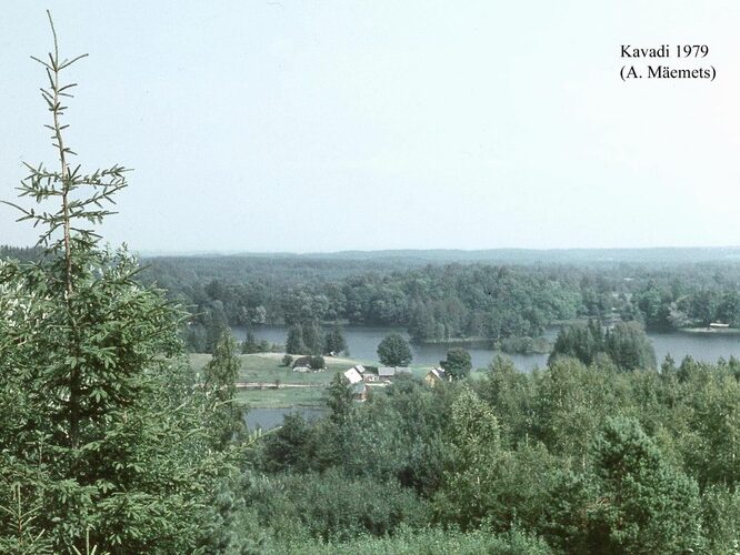 Maakond: Võrumaa Veekogu nimi: Kavadi järv Pildistamise aeg: 1979 Pildistaja: A. Mäemets Pildistamise koht: SW osa S kaldalt (H Asimuut: NNE