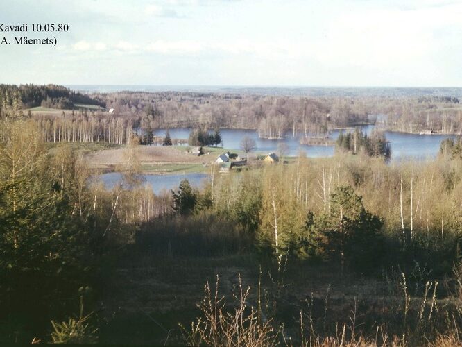 Maakond: Võrumaa Veekogu nimi: Kavadi järv Pildistamise aeg: 10. mai 1980 Pildistaja: A. Mäemets Pildistamise koht: SW osa S kaldalt (H Asimuut: NNE