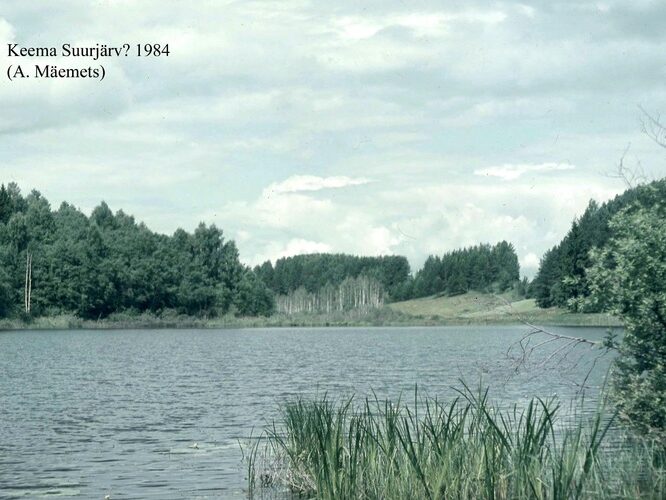 Maakond: Võrumaa Veekogu nimi: Keema Suurjärv Pildistamise aeg: 1984 Pildistaja: A. Mäemets Pildistamise koht: teadmata Asimuut: