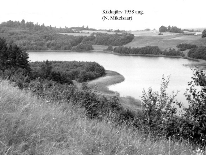 Maakond: Võrumaa Veekogu nimi: Kikkajärv Pildistamise aeg: august 1958 Pildistaja: N. Mikelsaar Pildistamise koht: teadmata Asimuut: