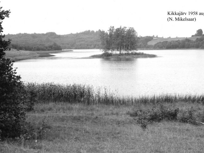 Maakond: Võrumaa Veekogu nimi: Kikkajärv Pildistamise aeg: august 1958 Pildistaja: N. Mikelsaar Pildistamise koht: E kaldalt Asimuut: W