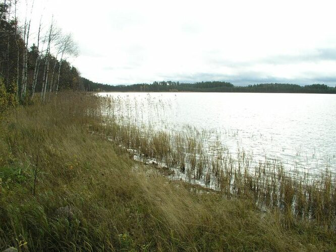 Maakond: Võrumaa Veekogu nimi: Kirikumäe Pildistamise aeg: 20. oktoober 2008 Pildistaja: H. Timm Pildistamise koht: teadmata Asimuut: