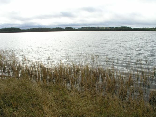 Maakond: Võrumaa Veekogu nimi: Kirikumäe Pildistamise aeg: 20. oktoober 2008 Pildistaja: H. Timm Pildistamise koht: teadmata Asimuut: