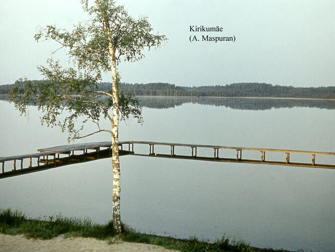 Maakond: Võrumaa Veekogu nimi: Kirikumäe järv Pildistamise aeg: teadmata Pildistaja: A. Maspuran Pildistamise koht: NE kaldalt Asimuut: SW