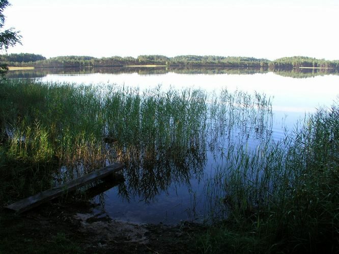 Maakond: Võrumaa Veekogu nimi: Kirikumäe järv Pildistamise aeg: august 2009 Pildistaja: H. Timm Pildistamise koht: teadmata Asimuut: