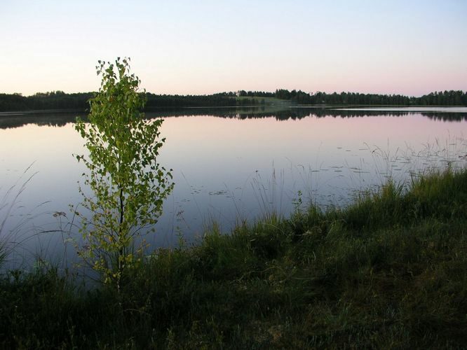 Maakond: Võrumaa Veekogu nimi: Kirikumäe järv Pildistamise aeg: august 2009 Pildistaja: H. Timm Pildistamise koht: teadmata Asimuut: