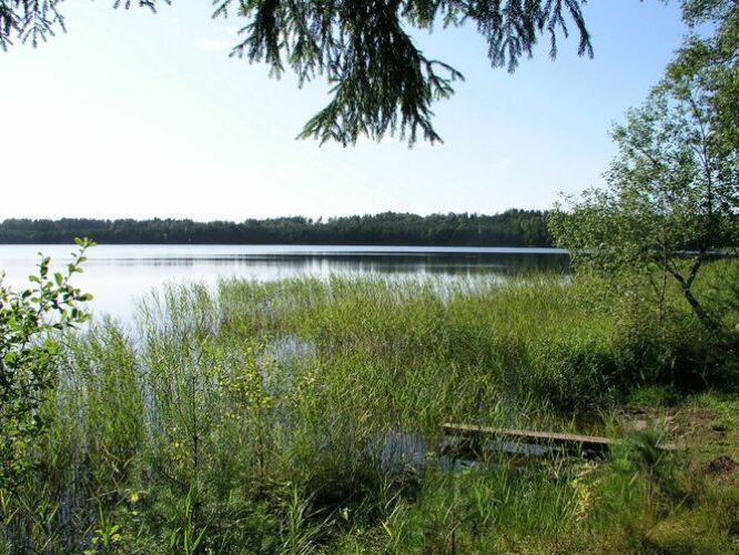 Maakond: Võrumaa Veekogu nimi: Kirikumäe järv Pildistamise aeg: august 2009 Pildistaja: H. Timm Pildistamise koht: teadmata Asimuut: