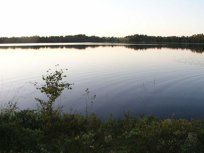 Maakond: Võrumaa Veekogu nimi: Kirikumäe järv Pildistamise aeg: august 2009 Pildistaja: H. Timm Pildistamise koht: teadmata Asimuut: