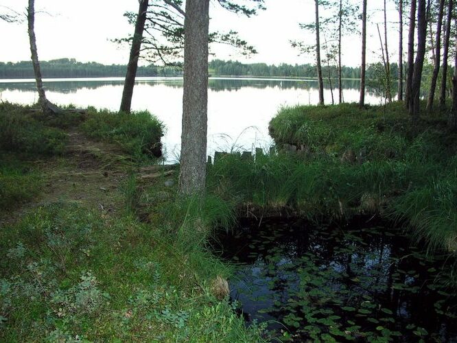 Maakond: Võrumaa Veekogu nimi: Kirikumäe järv Pildistamise aeg: august 2009 Pildistaja: H. Timm Pildistamise koht: väljavool Pedejasse Asimuut: