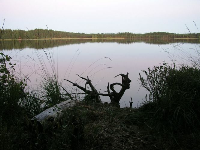 Maakond: Võrumaa Veekogu nimi: Kirikumäe järv Pildistamise aeg: august 2009 Pildistaja: H. Timm Pildistamise koht: teadmata Asimuut: