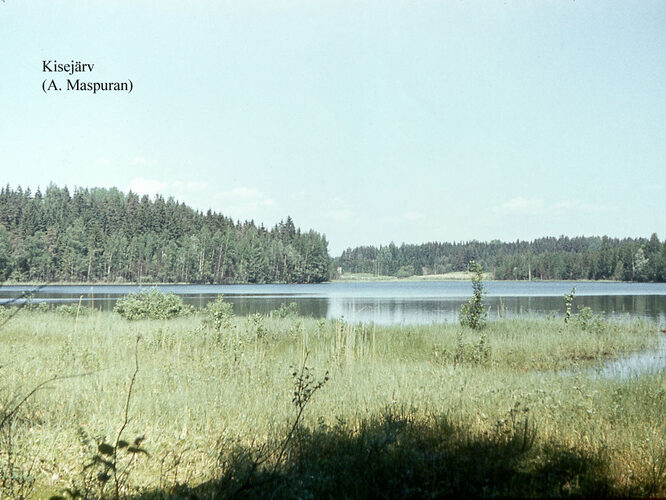 Maakond: Võrumaa Veekogu nimi: Kisejärv Pildistamise aeg: teadmata Pildistaja: A. Maspuran Pildistamise koht: teadmata Asimuut: