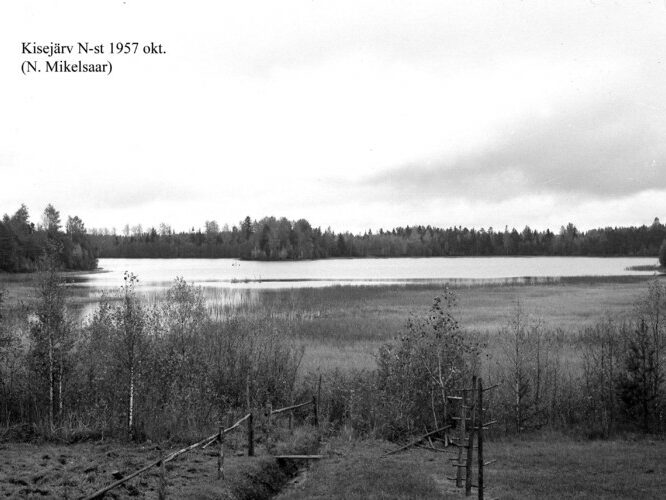 Maakond: Võrumaa Veekogu nimi: Kisejärv Pildistamise aeg: oktoober 1957 Pildistaja: N. Mikelsaar Pildistamise koht: N kaldalt Asimuut: