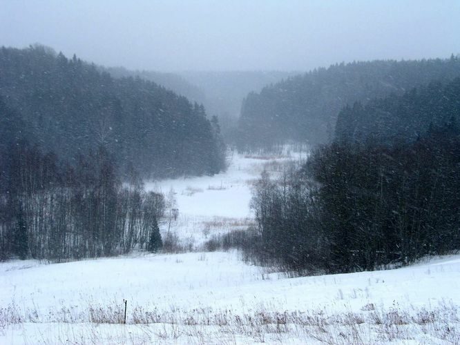 Maakond: Võrumaa Veekogu nimi: Koloreino järv Pildistamise aeg: 14. veebruar 2005 Pildistaja: H. Timm Pildistamise koht: teadmata Asimuut: