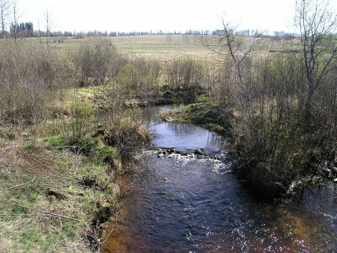 Maakond: Viljandimaa Veekogu nimi: Kõpu jõgi Pildistamise aeg: 24. aprill 2008 Pildistaja: H. Timm Pildistamise koht: Morna Asimuut: