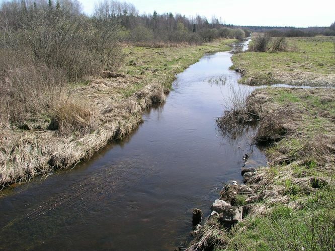 Maakond: Viljandimaa Veekogu nimi: Kõpu jõgi Pildistamise aeg: 24. aprill 2008 Pildistaja: H. Timm Pildistamise koht: Õisu Asimuut: