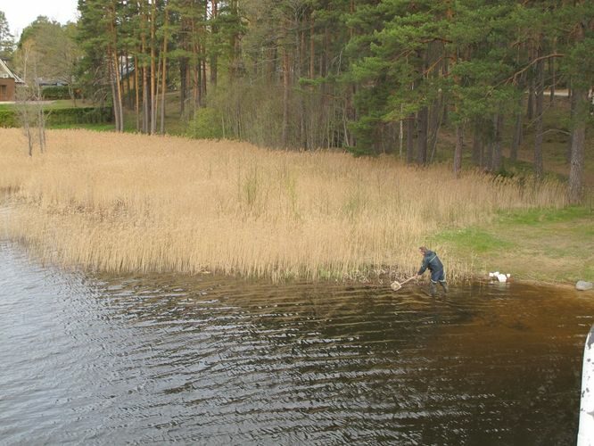 Maakond: Võrumaa Veekogu nimi: Kubija järv Pildistamise aeg: 3. mai 2012 Pildistaja: H. Timm Pildistamise koht: teadmata Asimuut: