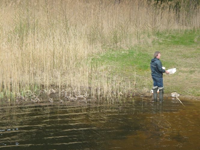 Maakond: Võrumaa Veekogu nimi: Kubija järv Pildistamise aeg: 3. mai 2012 Pildistaja: H. Timm Pildistamise koht: teadmata Asimuut: