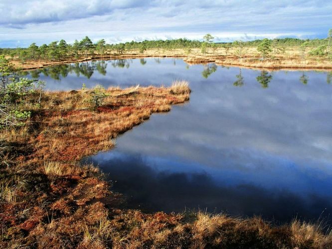 Maakond: Viljandimaa Veekogu nimi: Kuresoo laugas Pildistamise aeg: 24. oktoober 2004 Pildistaja: H. Timm Pildistamise koht: teadmata Asimuut: