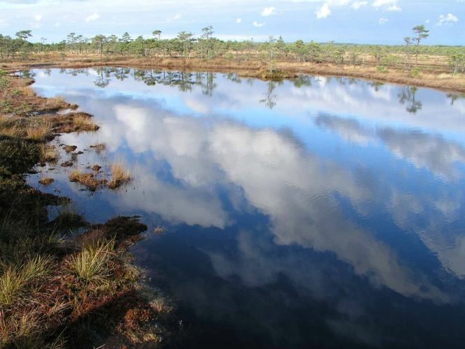 Maakond: Viljandimaa Veekogu nimi: Kuresoo laugas Pildistamise aeg: 24. oktoober 2004 Pildistaja: H. Timm Pildistamise koht: teadmata Asimuut: