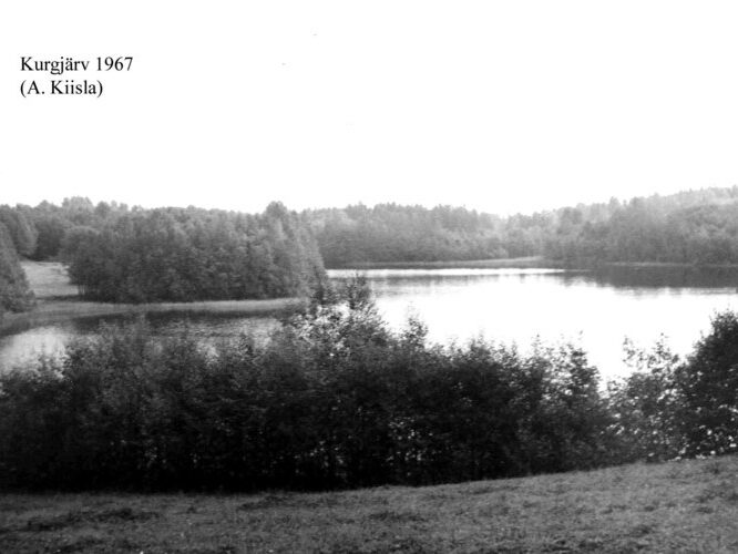 Maakond: Võrumaa Veekogu nimi: Kurgjärv Pildistamise aeg: 1967 Pildistaja: A. Kiisla (Eesti Looduse arhiiv) Pildistamise koht: teadmata Asimuut: