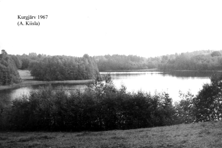 Maakond: Võrumaa Veekogu nimi: Kurgjärv Pildistamise aeg: 1967 Pildistaja: A. Kiisla (Eesti Looduse arhiiv) Pildistamise koht: teadmata Asimuut: