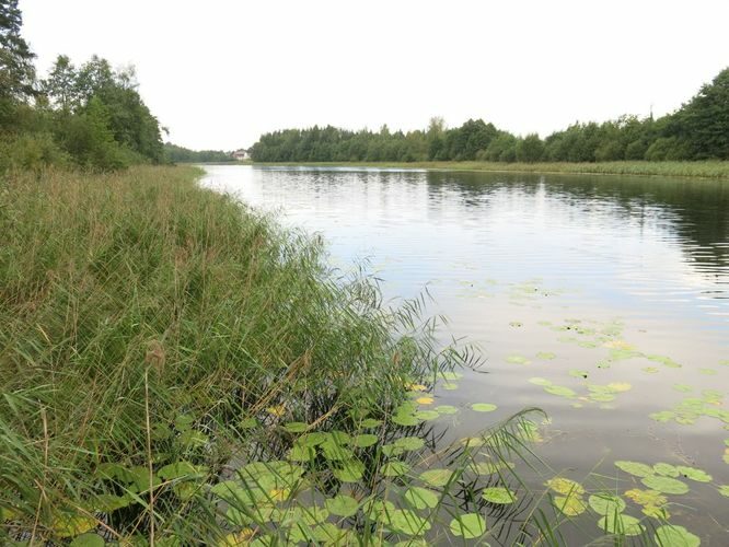 Maakond: Võrumaa Veekogu nimi: Lasva Kalijärv Pildistamise aeg: 15. august 2014 Pildistaja: H. Timm Pildistamise koht: teadmata Asimuut: