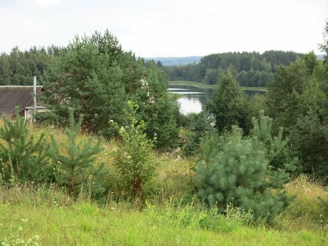 Maakond: Võrumaa Veekogu nimi: Lasva Kalijärv Pildistamise aeg: 15. august 2014 Pildistaja: H. Timm Pildistamise koht: teadmata Asimuut: