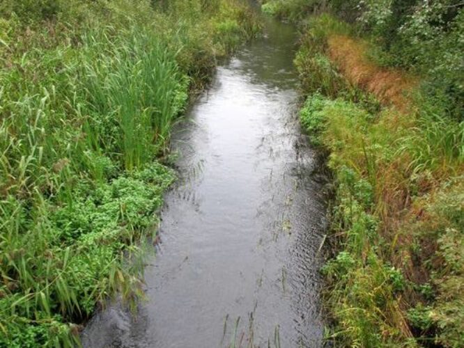 Maakond: Viljandimaa Veekogu nimi: Lemmjõgi Pildistamise aeg: 12. september 2012 Pildistaja: H. Timm Pildistamise koht: alamjooksu sild Asimuut: