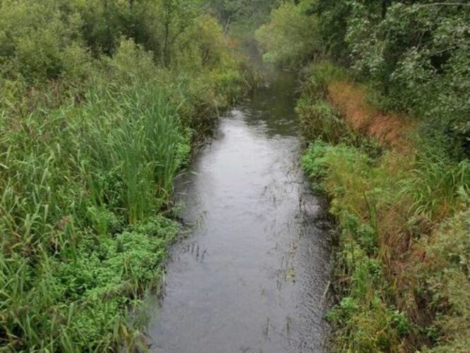 Maakond: Viljandimaa Veekogu nimi: Lemmjõgi Pildistamise aeg: 12. september 2012 Pildistaja: H. Timm Pildistamise koht: alamjooksu sild Asimuut: